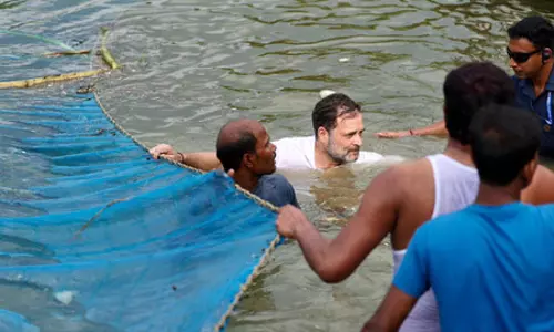 तालाब में उतरने का तमाशा करने वालों को जनमत ने डुबो दिया, राहुल गांधी पर भाजपा नेता का तंज