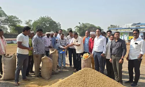 छत्तीसगढ़ में धान खरीदी शुरू, CM साय ने किया पोस्ट छत्तीसगढ़ में धान खरीदी शुरू, CM साय ने किया पोस्ट