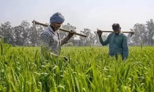 Bareilly: किसानों को दी गई 13.40 करोड़ की ऋण मंजूरी