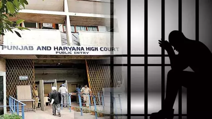 Chandigarh: हरियाणा HC ने सरकार से जवाब तलब किया, युवक हिरासत में