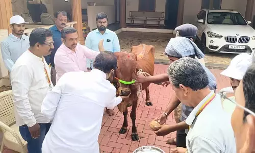 मवेशियों को खुरपका-मुंहपका रोग से बचाने के लिए टीकाकरण अवश्य करें: MLA