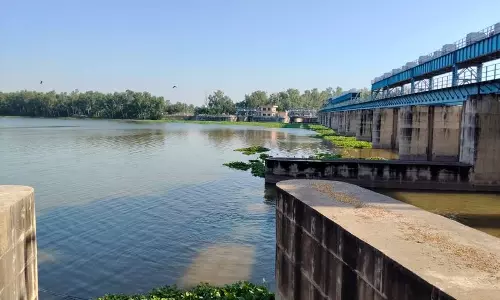 Sirsa के किसानों ने ओट्टू झील की तत्काल सफाई की मांग की Sirsa के किसानों ने ओट्टू झील की तत्काल सफाई की मांग की