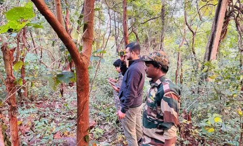 Odisha के सिमिलिपाल टाइगर रिजर्व में बाघों का आकलन शुरू Odisha के सिमिलिपाल टाइगर रिजर्व में बाघों का आकलन शुरू