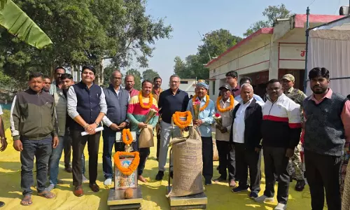 धान का सर्वाधिक दाम मिलने से किसानों को मिला लाभ, कलेक्टर ने किया निरीक्षण धान का सर्वाधिक दाम मिलने से किसानों को मिला लाभ, कलेक्टर ने किया निरीक्षण
