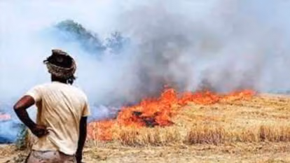 Jind: अधिकारी किसानों को पराली जलाने से रोकने में लगे
