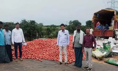 अनार उत्पादकों के लिए ज़िंदगी सुखद: दो साल के नुकसान के बाद इस बार मुनाफ़ा राहत भरा अनार उत्पादकों के लिए ज़िंदगी सुखद: दो साल के नुकसान के बाद इस बार मुनाफ़ा राहत भरा