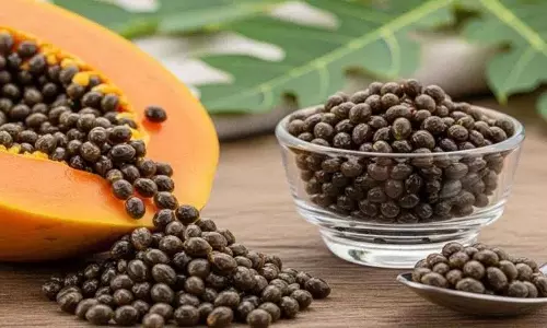 क्या आप जानते हैं कि आप सिर्फ़ पपीते का फल ही नहीं, बल्कि उसके बीज भी खा सकते हैं? क्या आप जानते हैं कि आप सिर्फ़ पपीते का फल ही नहीं, बल्कि उसके बीज भी खा सकते हैं?