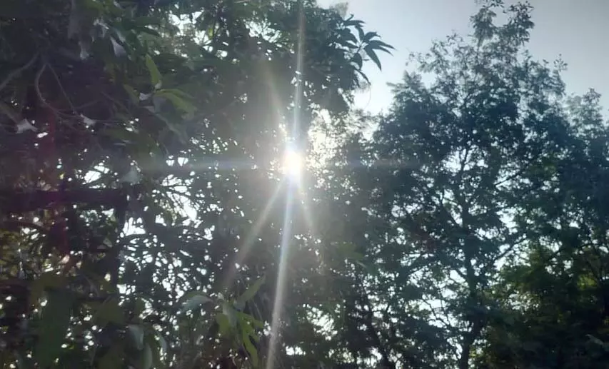 इस साल रायपुर में ठंड ज्यादा, कई जिलों में शीतलहर की स्थिति इस साल रायपुर में ठंड ज्यादा, कई जिलों में शीतलहर की स्थिति