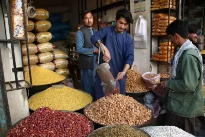 ट्रेड टेंशन में अफगानिस्तान की नई राह: चाबहार बन रहा प्रमुख विकल्प ट्रेड टेंशन में अफगानिस्तान की नई राह: चाबहार बन रहा प्रमुख विकल्प