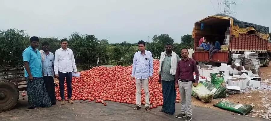 अनार उत्पादकों के लिए ज़िंदगी सुखद: दो साल के नुकसान के बाद इस बार मुनाफ़ा राहत भरा अनार उत्पादकों के लिए ज़िंदगी सुखद: दो साल के नुकसान के बाद इस बार मुनाफ़ा राहत भरा
