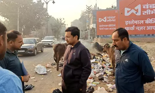 Rohtak डीसी को निरीक्षण के दौरान कचरे में मवेशी तलाशते मिले