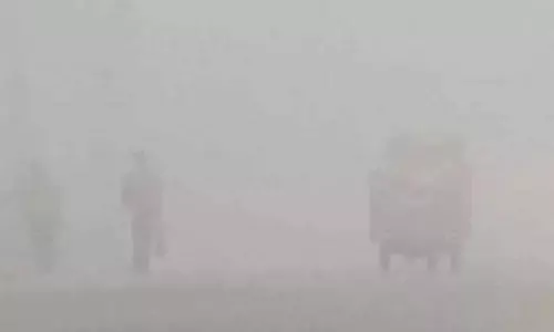 ठंड को लेकर येलो अलर्ट जारी, शीतलहर की चपेट में प्रदेश