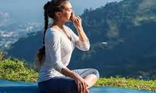 Yoga: प्राणायाम के फायदे जान लीजिए, कभी बीमार नहीं पड़ेंगे Yoga: प्राणायाम के फायदे जान लीजिए, कभी बीमार नहीं पड़ेंगे