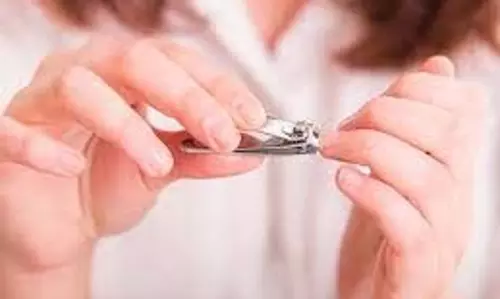 Nails Cutting Day: इन 4 दिनों में भूलकर भी न काटें नाखून, घर में आती है गरीबी Nails Cutting Day: इन 4 दिनों में भूलकर भी न काटें नाखून, घर में आती है गरीबी