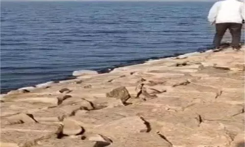 Jharkhand: डैम में गिरी कार, जज के दो अंगरक्षकों समेत तीन की मौत, एक लापता Jharkhand: डैम में गिरी कार, जज के दो अंगरक्षकों समेत तीन की मौत, एक लापता