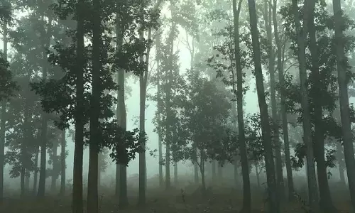 Odisha में शीतलहर तेज, दरिंगबाड़ी में तापमान 8 डिग्री सेल्सियस Odisha में शीतलहर तेज, दरिंगबाड़ी में तापमान 8 डिग्री सेल्सियस