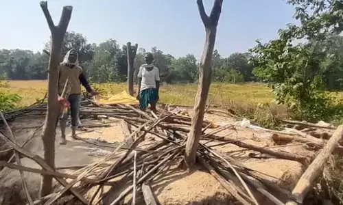 किसान की झोपड़ी को हाथियों ने किया तहस-नहस, इलाके में डर का माहौल किसान की झोपड़ी को हाथियों ने किया तहस-नहस, इलाके में डर का माहौल