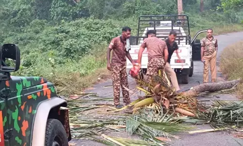 Kerala : वन्यजीव संघर्षों से निपटने के लिए स्थानीय लोगों को प्रशिक्षण