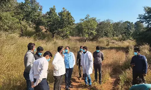 रानी चन्नम्मा मिनी चिड़ियाघर में विशेषज्ञ दल; 4 काले हिरणों का पोस्टमार्टम रानी चन्नम्मा मिनी चिड़ियाघर में विशेषज्ञ दल; 4 काले हिरणों का पोस्टमार्टम