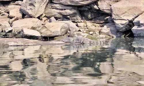 शिववरम अभयारण्य प्रमुख पर्यटन स्थल बन सकता है