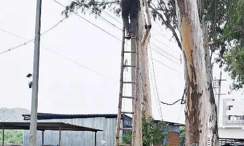 संथेमारहल्ली बिजली बिल बकाया: कनेक्शन काटा गया