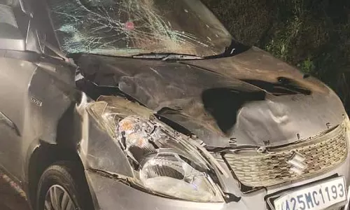 Accident : सड़क पार करते समय एक हाथी कार पर गिर गया