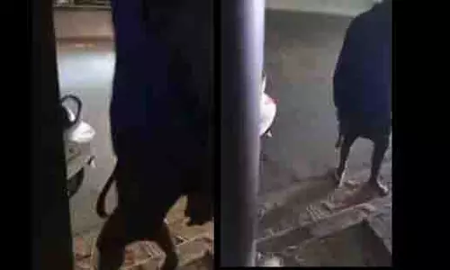 Bengaluru में नकाबपोश व्यक्ति चाकू के दम पर लूट करते हुए कैमरे में कैद Bengaluru में नकाबपोश व्यक्ति चाकू के दम पर लूट करते हुए कैमरे में कैद