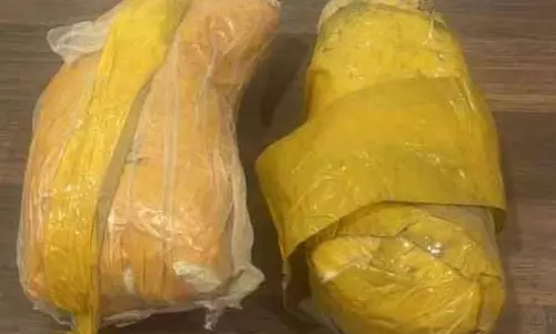 पठानकोट में बीएसएफ ने चलाया तलाशी अभियान, हेरोइन की तस्करी में एक गिरफ्तार पठानकोट में बीएसएफ ने चलाया तलाशी अभियान, हेरोइन की तस्करी में एक गिरफ्तार