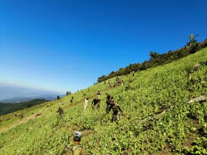 अवैध अफीम उत्पादन पर चोट: Manipur में संयुक्त बलों ने बड़ी कार्रवाई की अवैध अफीम उत्पादन पर चोट: Manipur में संयुक्त बलों ने बड़ी कार्रवाई की