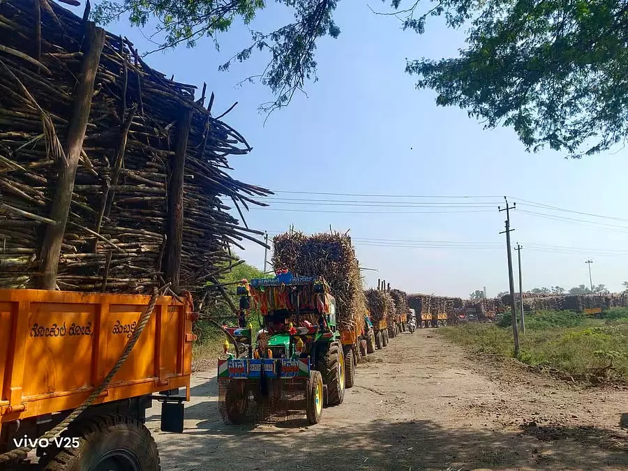 Bagalkot चीनी मिल खुली: किसानों को राहत Bagalkot चीनी मिल खुली: किसानों को राहत