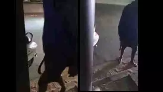Bengaluru में नकाबपोश व्यक्ति चाकू के दम पर लूट करते हुए कैमरे में कैद Bengaluru में नकाबपोश व्यक्ति चाकू के दम पर लूट करते हुए कैमरे में कैद