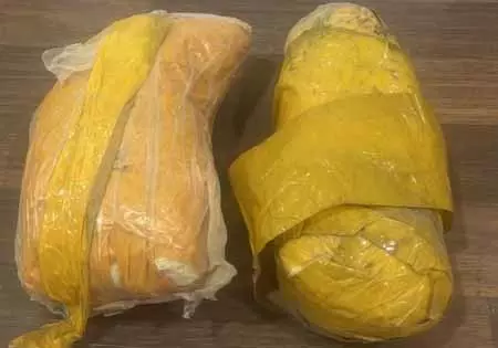 पठानकोट में बीएसएफ ने चलाया तलाशी अभियान, हेरोइन की तस्करी में एक गिरफ्तार पठानकोट में बीएसएफ ने चलाया तलाशी अभियान, हेरोइन की तस्करी में एक गिरफ्तार