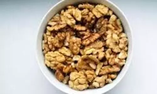 Soaked Walnuts Benefits : भीगे हुए अखरोट खाने से आपको मिलेंगे ये 7 अद्भुत फायदे Soaked Walnuts Benefits : भीगे हुए अखरोट खाने से आपको मिलेंगे ये 7 अद्भुत फायदे