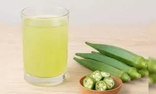 Health: भिंडी और नींबू का पानी पीने से क्या होता है, जान लेंगे फायदे तो आज ही से शुरू कर देंगे पीना Health: भिंडी और नींबू का पानी पीने से क्या होता है, जान लेंगे फायदे तो आज ही से शुरू कर देंगे पीना
