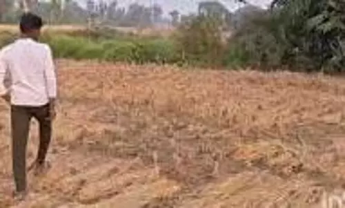 Raebareli: धान के खेत में मिली अस्थियां, जांच में जुटी पुलिस Raebareli: धान के खेत में मिली अस्थियां, जांच में जुटी पुलिस