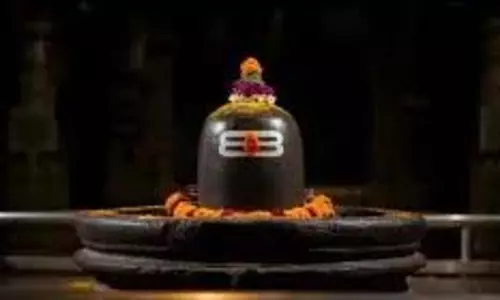 Somwar Puja Rules: शिवलिंग पर भूल कर भी न चढ़ाएं ये चीजें, जानिए धार्मिक और वैज्ञानिक कारण
