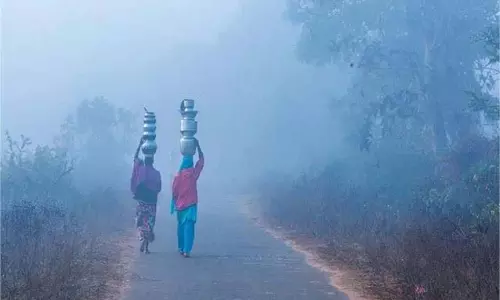 UP Winter Update:  इन जिलों में शीतलहर का अलर्ट