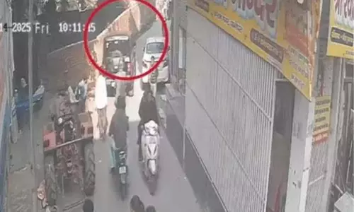 Panipat: थार चालक ने 5 पिल्लों को कुचला, मिली ये अनोखी सजा Panipat: थार चालक ने 5 पिल्लों को कुचला, मिली ये अनोखी सजा