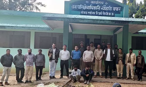 MP : संजय टाइगर रिजर्व में जंगली सूअरों के लिए शिकारियों द्वारा बिछाए गए बिजली के जाल का शिकार हुआ बाघ MP : संजय टाइगर रिजर्व में जंगली सूअरों के लिए शिकारियों द्वारा बिछाए गए बिजली के जाल का शिकार हुआ बाघ
