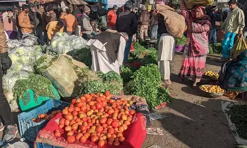 Indore : बारिश और ठंड से हरी सब्जियों की आपूर्ति प्रभावित, कीमतें बढ़ीं