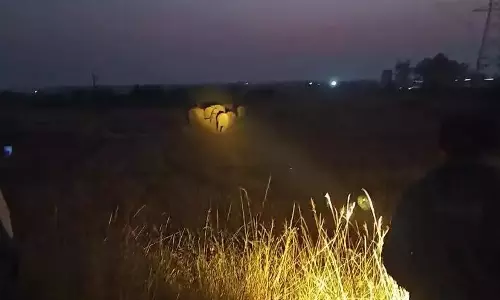 West Medinipur: हाथियों के झुंड से ग्रामीण दहशत में West Medinipur: हाथियों के झुंड से ग्रामीण दहशत में