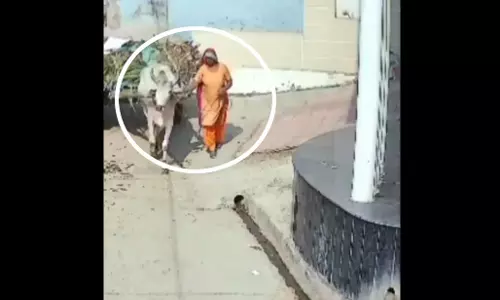 महिला की मौत का LIVE फुटेज...ये मंजर देख सिहर उठे लोग महिला की मौत का LIVE फुटेज...ये मंजर देख सिहर उठे लोग