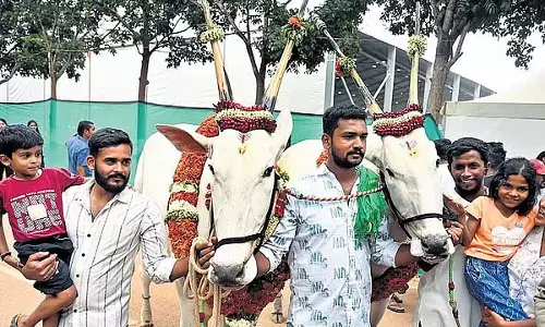 कृषि मेला शुरू: 54.15 लाख लोगों ने देखा, 4.77 करोड़ रुपये का कारोबार