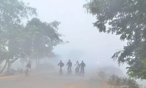 Bhopal में नवंबर की सबसे ठंडी रात, तापमान 5.2°C; 10 ज़िलों में पारा एक अंक में लुढ़का Bhopal में नवंबर की सबसे ठंडी रात, तापमान 5.2°C; 10 ज़िलों में पारा एक अंक में लुढ़का