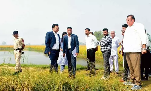 Rohtak खेतों से पानी अभी तक नहीं निकलने से किसान चिंतित Rohtak खेतों से पानी अभी तक नहीं निकलने से किसान चिंतित
