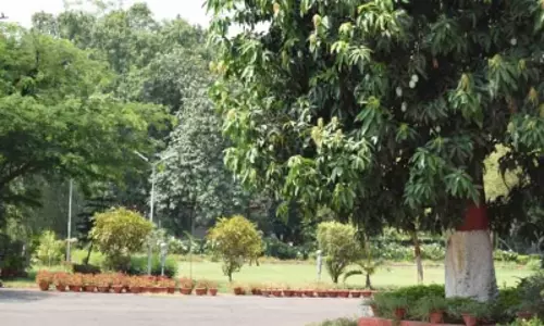 CM हाउस के पास हुई स्कूल वैन और कार की भिड़ंत, ड्राइवर गिरफ्तार CM हाउस के पास हुई स्कूल वैन और कार की भिड़ंत, ड्राइवर गिरफ्तार