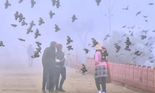 Rajasthan में कड़ाके की ठंड, पिलानी और नागौर में तापमान रिकॉर्ड स्तर पर