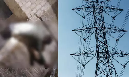 MP : बंदर को भगाने की कोशिश कर रहा व्यक्ति, गलती से हाई-टेंशन लाइन छू जाने से मौके पर ही मौत MP : बंदर को भगाने की कोशिश कर रहा व्यक्ति, गलती से हाई-टेंशन लाइन छू जाने से मौके पर ही मौत