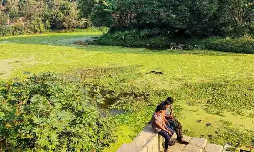 कृष्ण कंठ पार्क में उपेक्षित जल निकाय और फैलते आक्रामक पौधों की समस्या