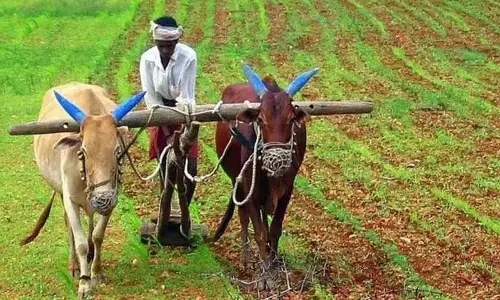 AP सरकार की किसानों के लिए खुशखबरी.. इस महीने की 19 तारीख को खाते में पैसा! AP सरकार की किसानों के लिए खुशखबरी.. इस महीने की 19 तारीख को खाते में पैसा!